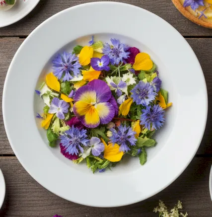 Edible Flowers