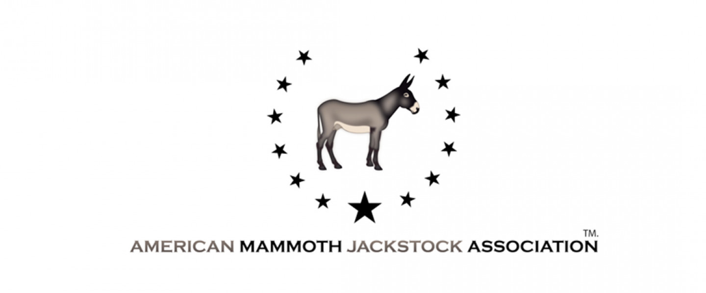 American Mammoth Jackstock Association Logo